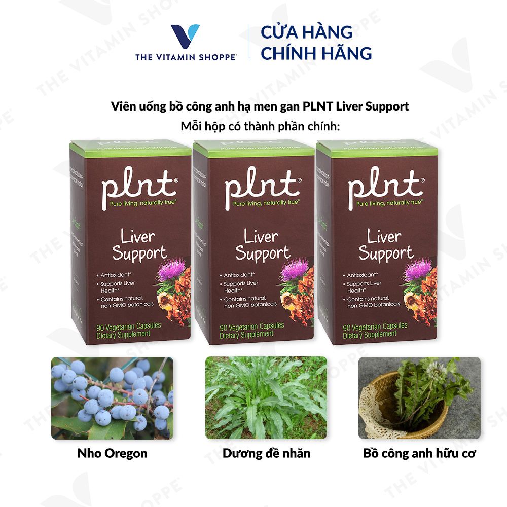 Thực phẩm bảo vệ sức khỏe LIVER SUPPORT