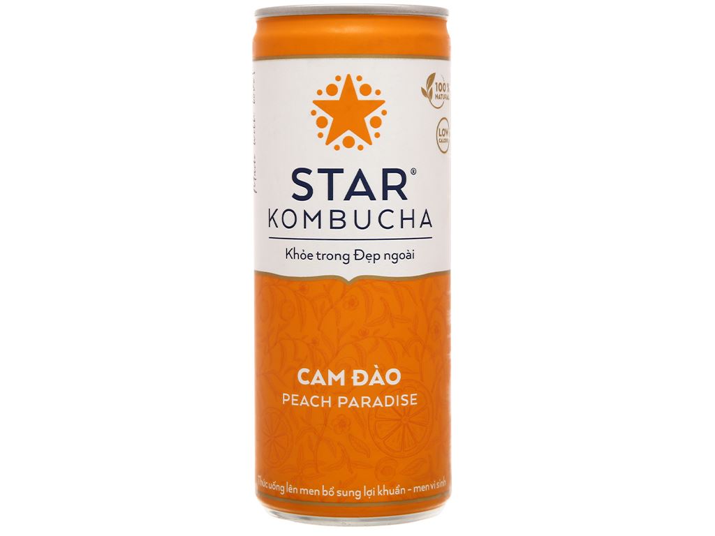 STAR KOMBUCHA Lon 250ml