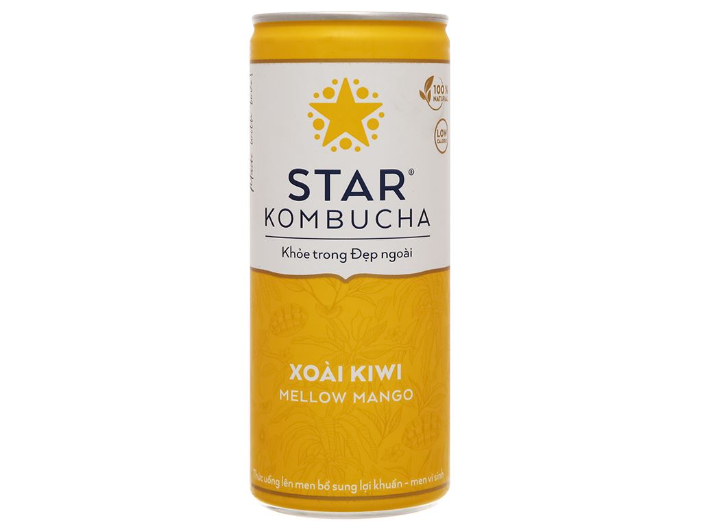 STAR KOMBUCHA Lon 250ml