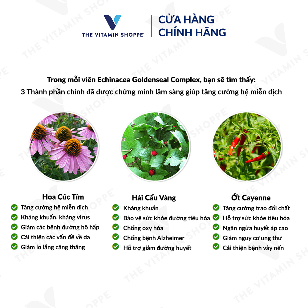 Thực phẩm bảo vệ sức khỏe ECHINACEA GOLDENSEAL COMPLEX