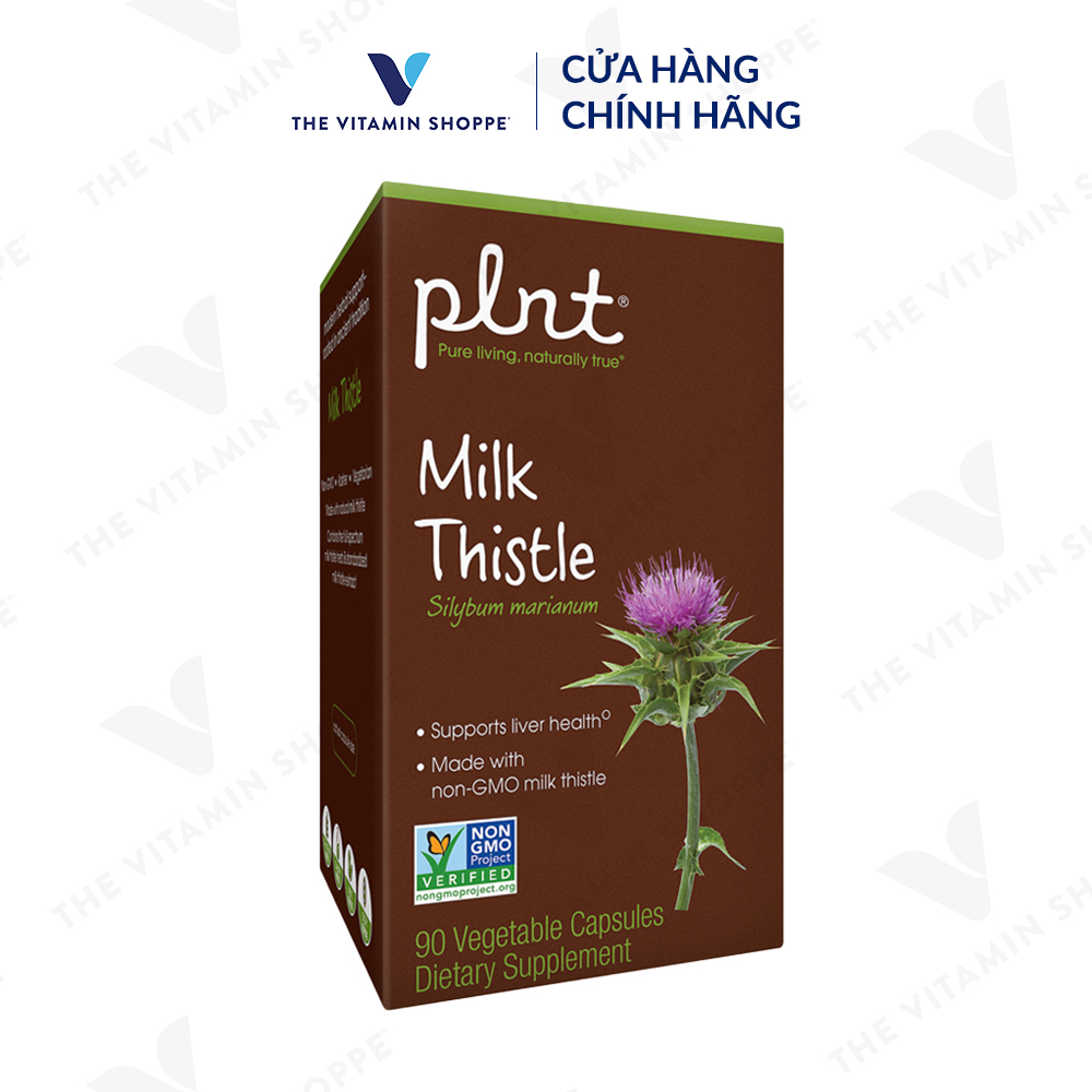 Thực phẩm bảo vệ sức khỏe MILK THISTLE