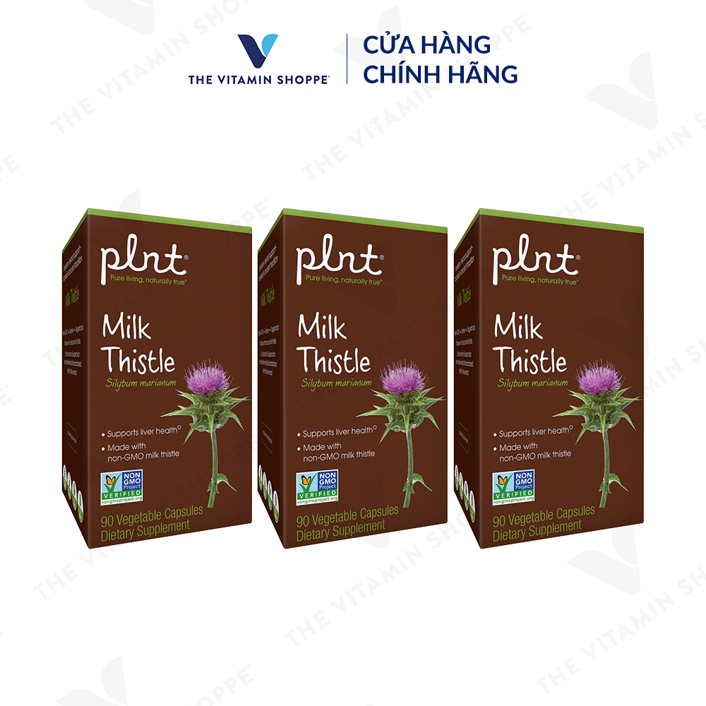 Thực phẩm bảo vệ sức khỏe MILK THISTLE