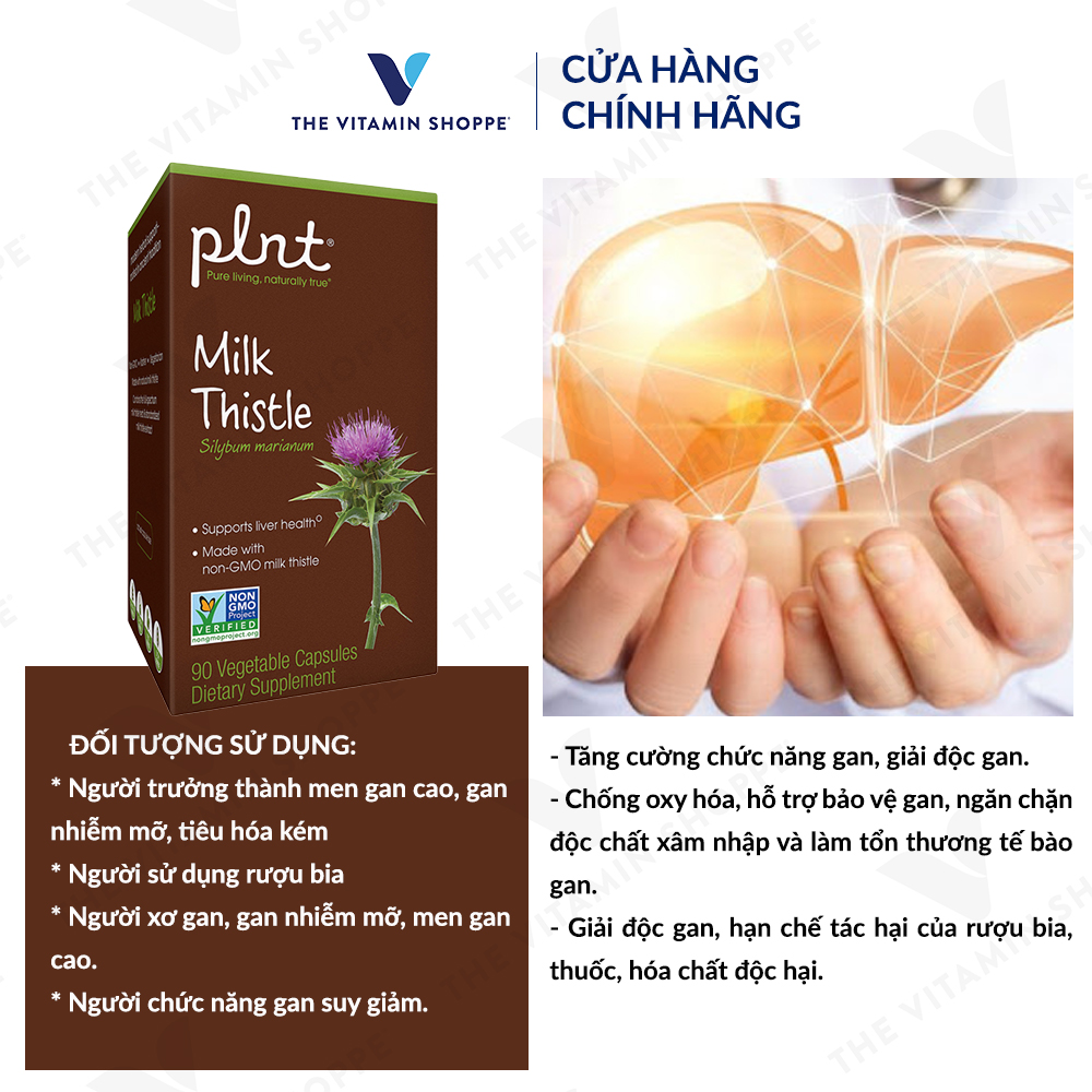 Thực phẩm bảo vệ sức khỏe MILK THISTLE