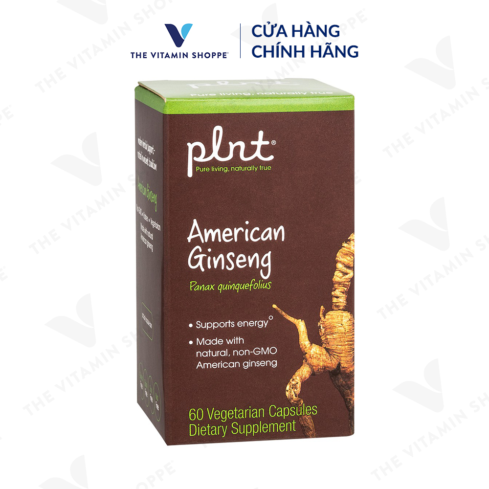 Thực phẩm bảo vệ sức khỏe AMERICAN GINSENG