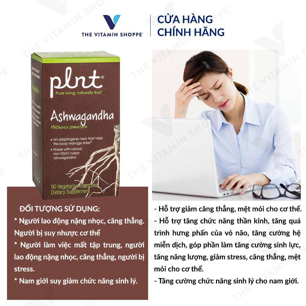 Thực phẩm bảo vệ sức khỏe ASHWAGANDHA