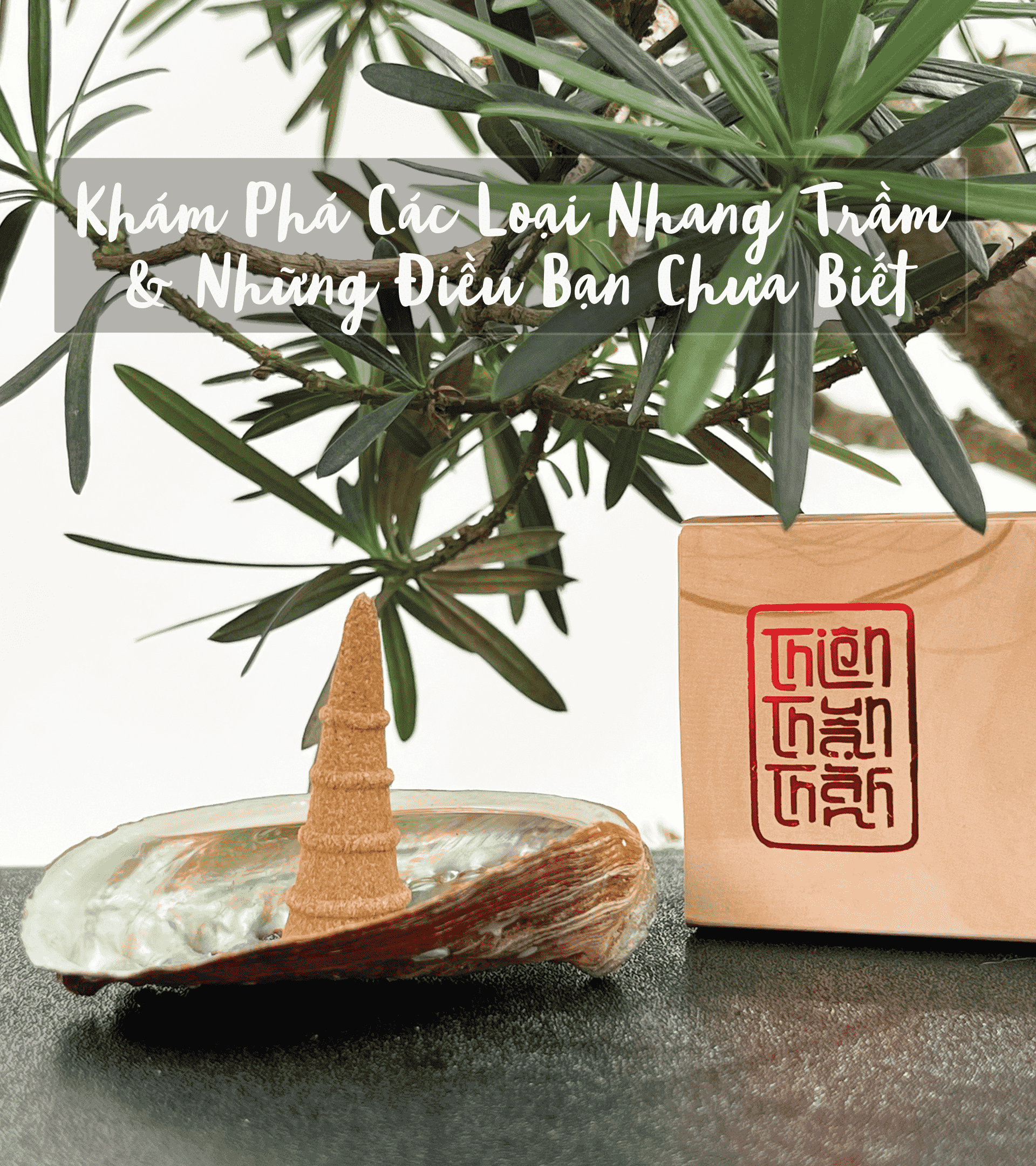 Khám Phá Các Loại Nhang Trầm & Những Điều Bạn Chưa Biết - Thiên Thuận Thành Khám Phá Các Loại Nhang Trầm & Những Điều Bạn Chưa Biết - Thiên Thuận Thành