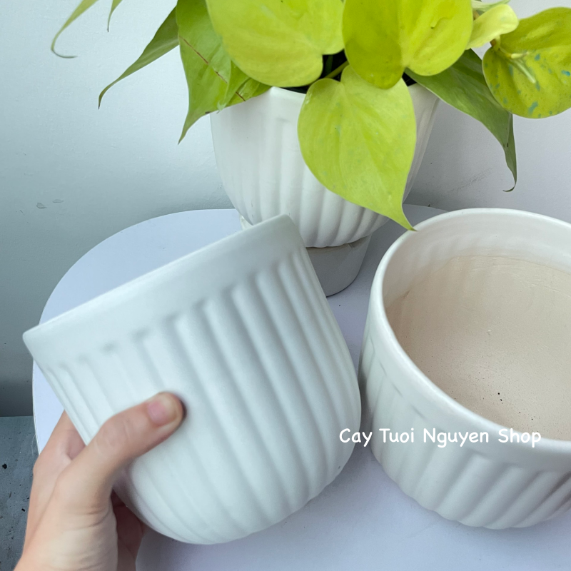 CHẬU TRÁNG MEN MOCHI KẺ 13*13CM, (1 chậu),chậu trồng cây, trang trí nội thất, Cây Tươi Nguyên CTN1495