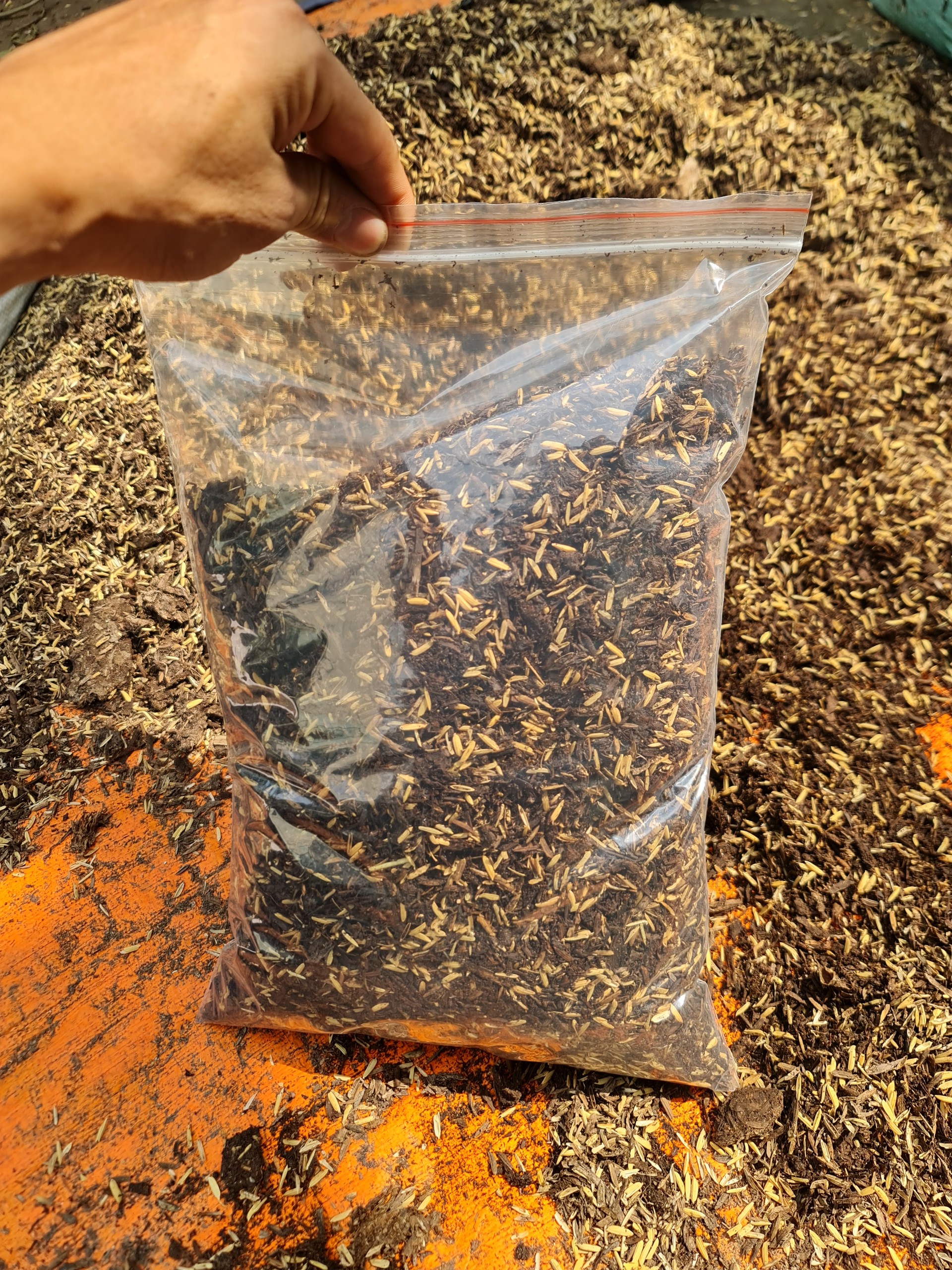 PHÂN RƠM TRỘN SẴN TÚI 1KG, giá thể phù hợp đa số kiểng lá, hoa, cây cảnh, đựng túi zip sạch sẽ tiện lợi, Cây Tươi Nguyên