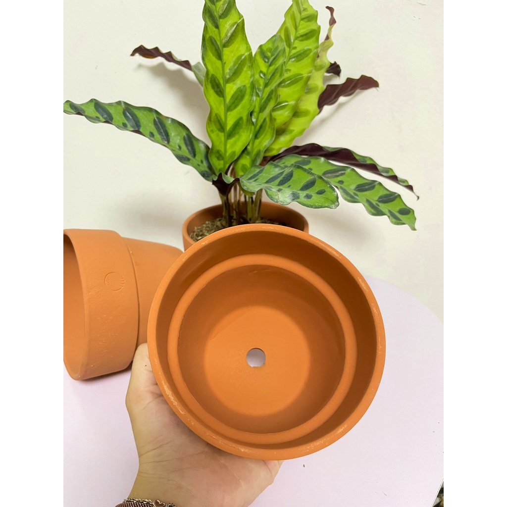 CHẬU ĐẤT NUNG TRÒN GỜ LỚN ENVIE (14*12cm) hàng Xuất khẩu, (1 chậu), chậu trồng cây, trang trí nội thất, Cây Tươi Nguyên