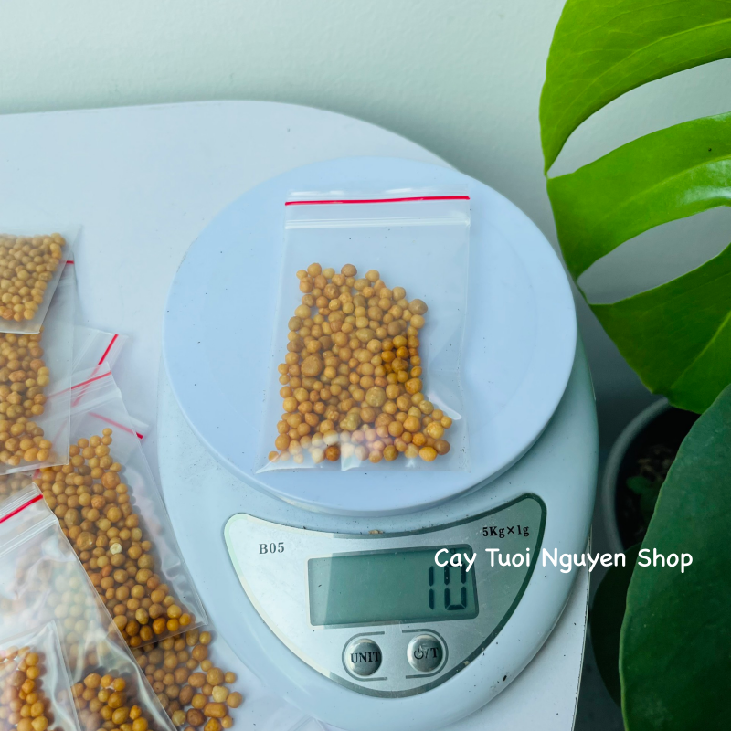 PHÂN TAN CHẬM HẠT VÀNG NPK 14-14-14 (1 GÓI 10G), chuyên dùng cho kiểng lá, cây kiểng nội thất, Cây Tươi Nguyên
