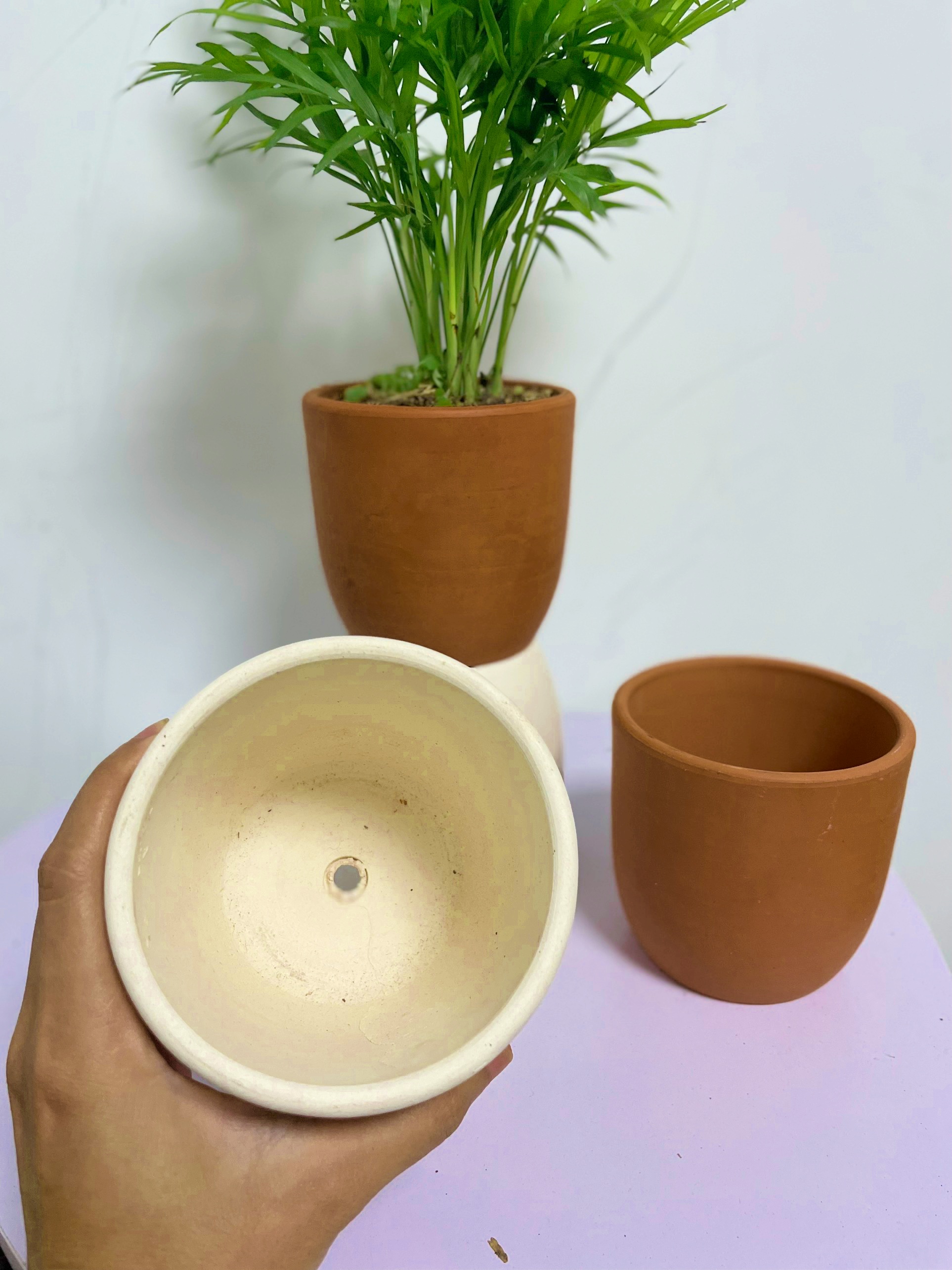 CHẬU TRỨNG ĐẤT NUNG Size S (10*10cm) (1 chậu), gốm đất nung, chậu cây mini, sen đá, xương rồng Cây Tươi Nguyên CTN0970