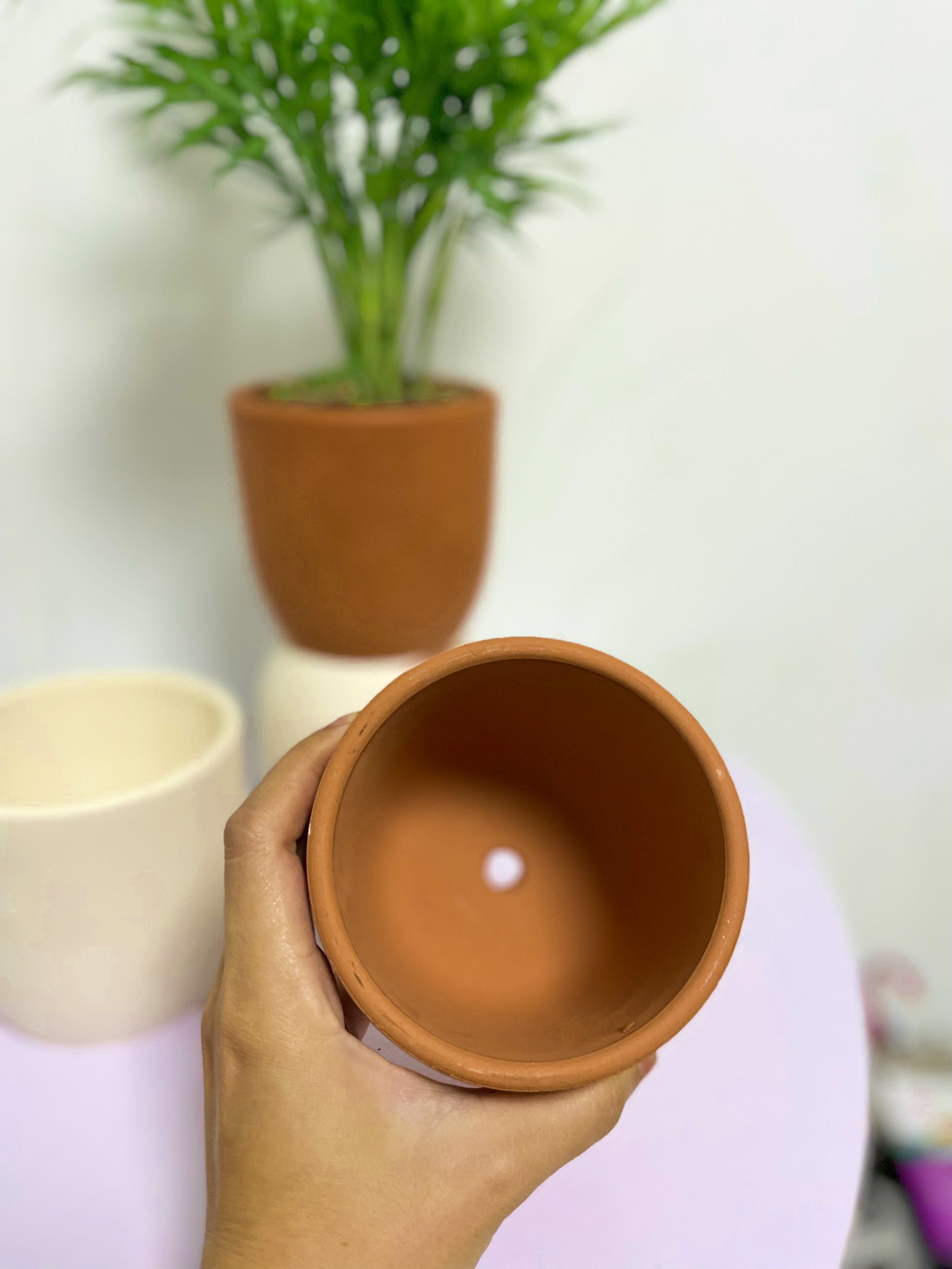 CHẬU TRỨNG ĐẤT NUNG Size S (10*10cm) (1 chậu), gốm đất nung, chậu cây mini, sen đá, xương rồng Cây Tươi Nguyên CTN0970