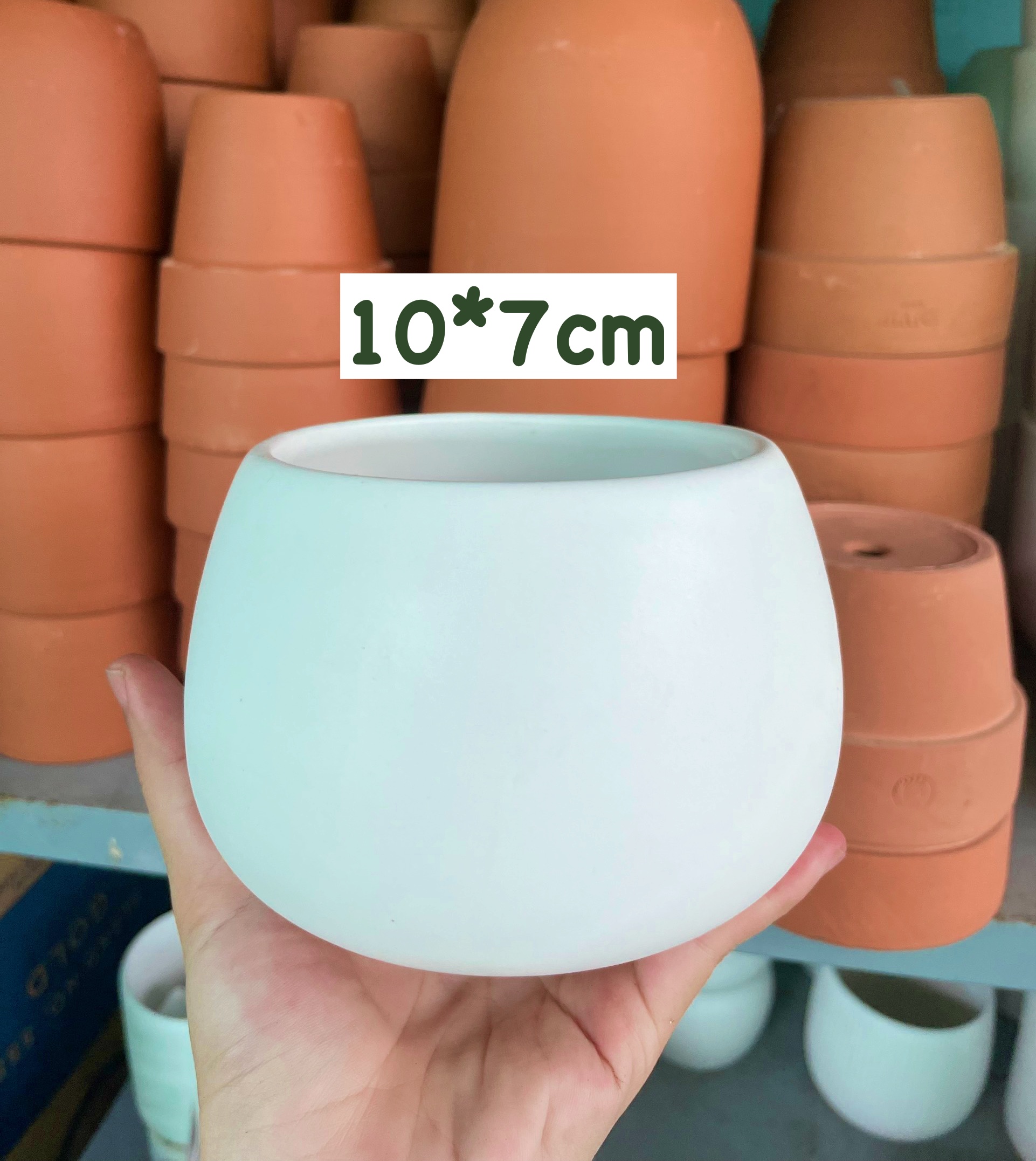 CHẬU HẠT DẺ TRÁNG MEN TRẮNG 10*7cm (1 chậu), tráng men, chậu cây trong nhà, bền đẹp, Cây Tươi Nguyên CTN1458