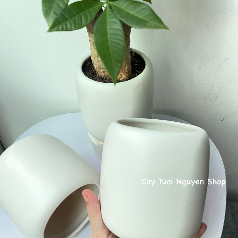 CHẬU TRÁNG MEN BO TRÒN MIỆNG 9.5*11CM, (1 chậu),chậu trồng cây, trang trí nội thất, Cây Tươi Nguyên CTN1497