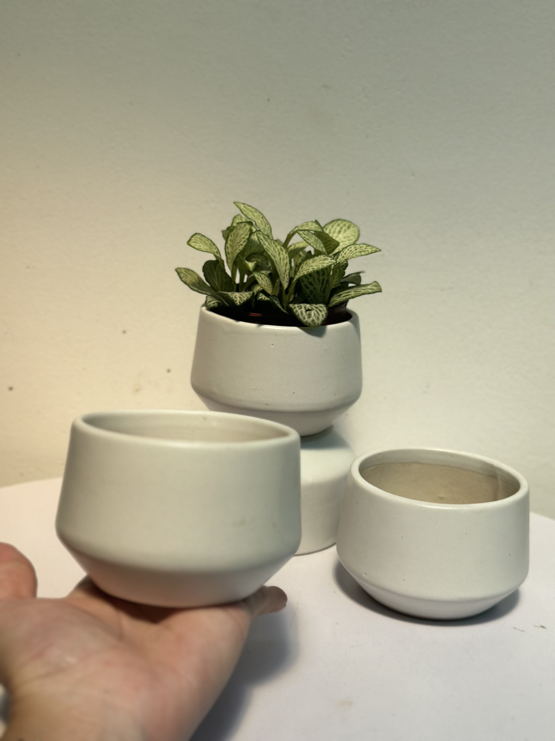 CHẬU KIM CƯƠNG BẸT TRÁNG MEN (8*6 cm) (1 chậu), tráng men, chậu cây mini, sen đá, xương rồng Cây Tươi Nguyên CTN1544