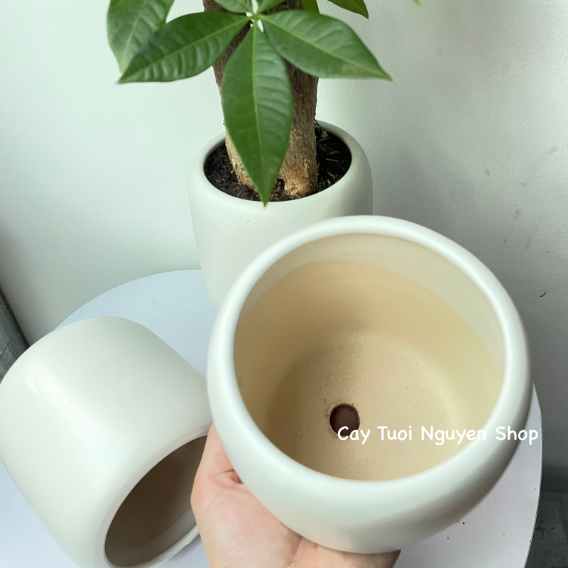 CHẬU TRÁNG MEN BO TRÒN MIỆNG 9.5*11CM, (1 chậu),chậu trồng cây, trang trí nội thất, Cây Tươi Nguyên CTN1497