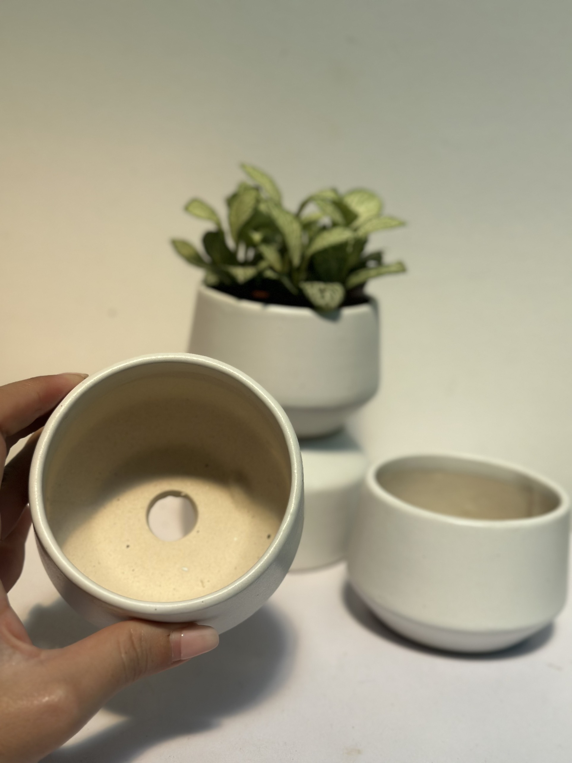 CHẬU KIM CƯƠNG BẸT TRÁNG MEN (8*6 cm) (1 chậu), tráng men, chậu cây mini, sen đá, xương rồng Cây Tươi Nguyên CTN1544