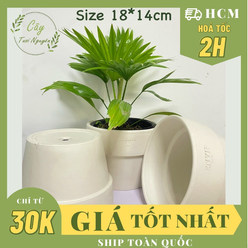 CHẬU ĐẤT NUNG TRẮNG TRÒN GỜ LỚN ENVIE (18*14cm) hàng Xuất khẩu, (1 chậu), trồng cây, trang trí nội thất, Cây Tươi Nguyên