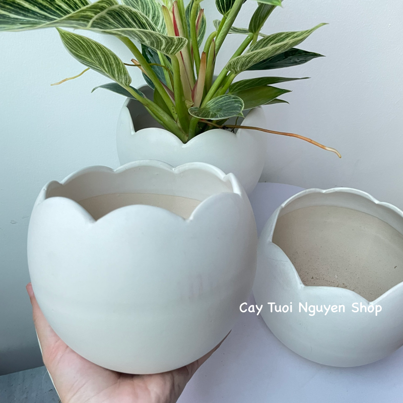 CHẬU TRÁNG MEN VỎ TRỨNG 13*12CM, (1 chậu),chậu trồng cây, trang trí nội thất, Cây Tươi Nguyên CTN1494
