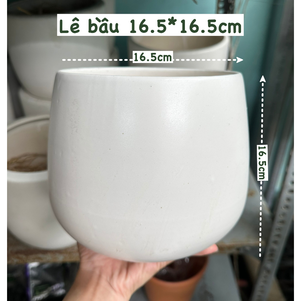 CHẬU TRỤ TRÁNG MEN TRẮNG Size 11CM, 15CM, 18CM (1 chậu), tráng men, chậu cây trong nhà, bền đẹp, Cây Tươi Nguyên CTN1458
