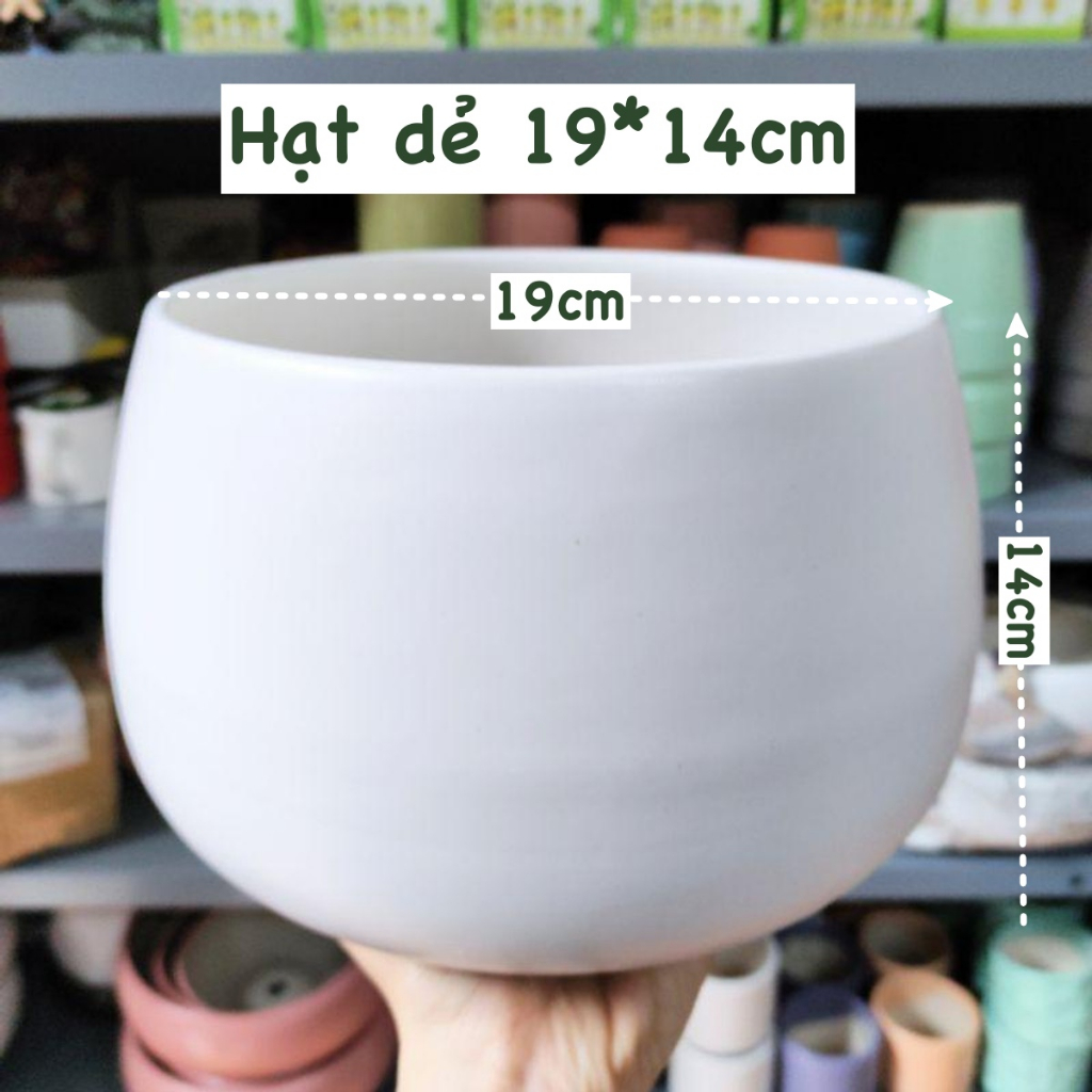 CHẬU TRỤ TRÁNG MEN TRẮNG Size 11CM, 15CM, 18CM (1 chậu), tráng men, chậu cây trong nhà, bền đẹp, Cây Tươi Nguyên CTN1458