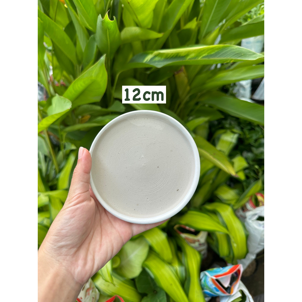 ĐĨA LÓT CHẬU TRÁNG MEN/ SỨ, đĩa lót chậu cây hình tròn nhiều kích thước