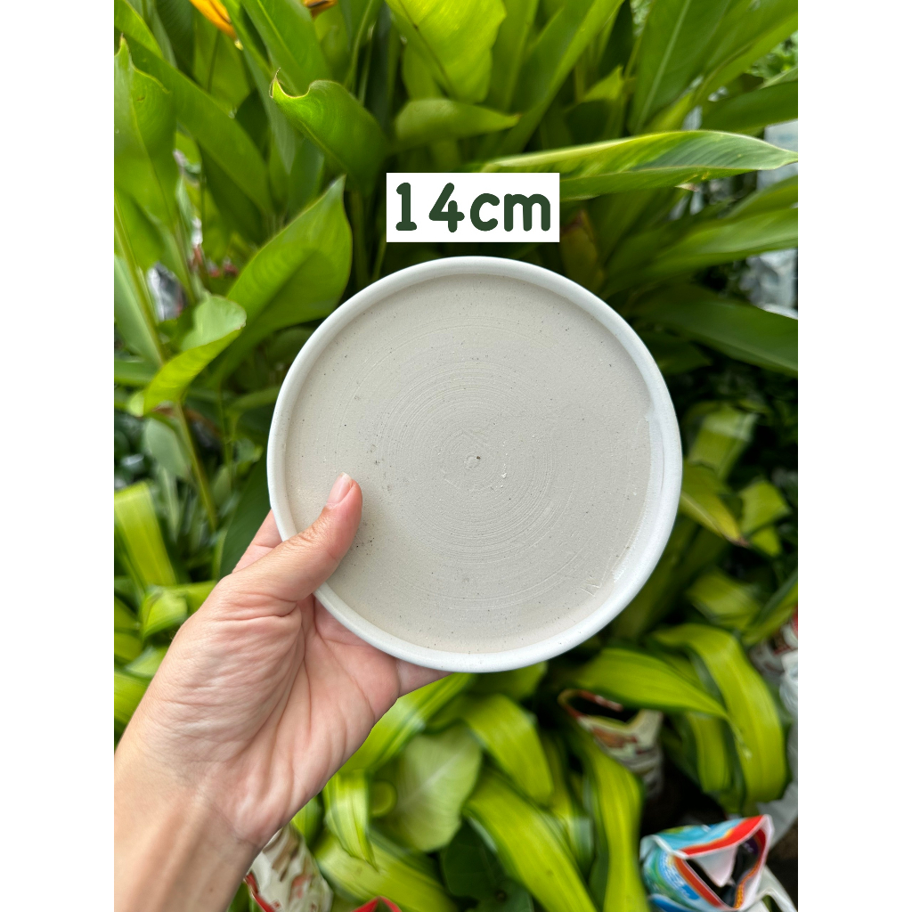 ĐĨA LÓT CHẬU TRÁNG MEN/ SỨ, đĩa lót chậu cây hình tròn nhiều kích thước
