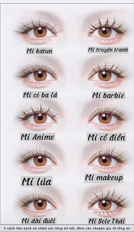 Quy trình làm sạch và chăm sóc lông mi nối