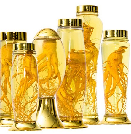 Ưu điểm của bình ngâm rượu trong suốt từ nhựa cao cấp