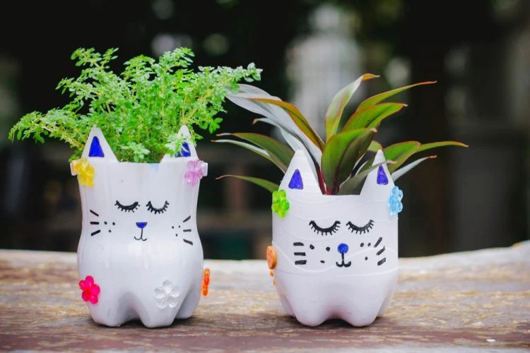 Vẽ chai nhựa: Bảo vệ môi trường một cách sáng tạo