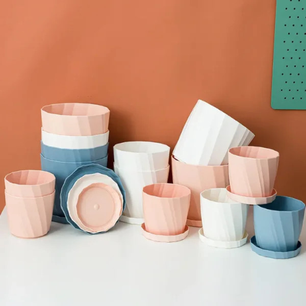 Chậu cây mini để bàn