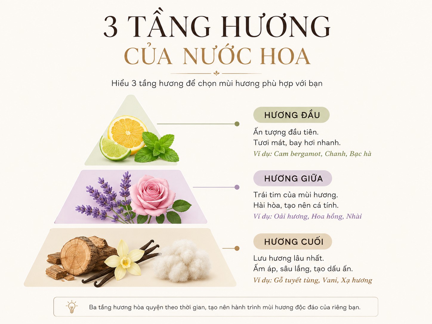 Minh họa hương đầu hương giữa và hương cuối trong nước hoa