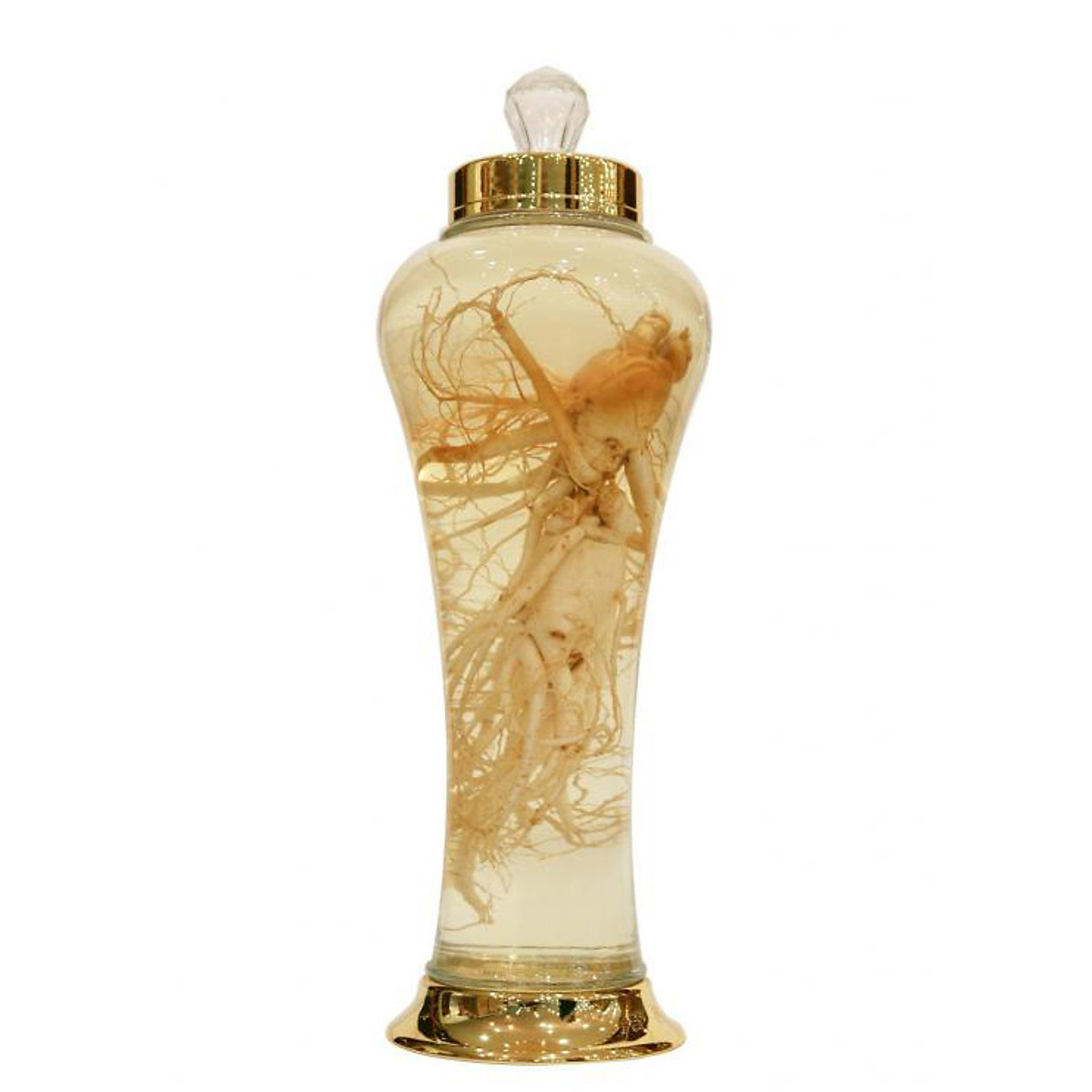 Bình nhựa ngâm rượu sâm