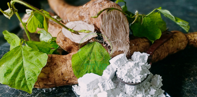 Cách nhận biết tinh bột sắn dây ta chuẩn chất lượng