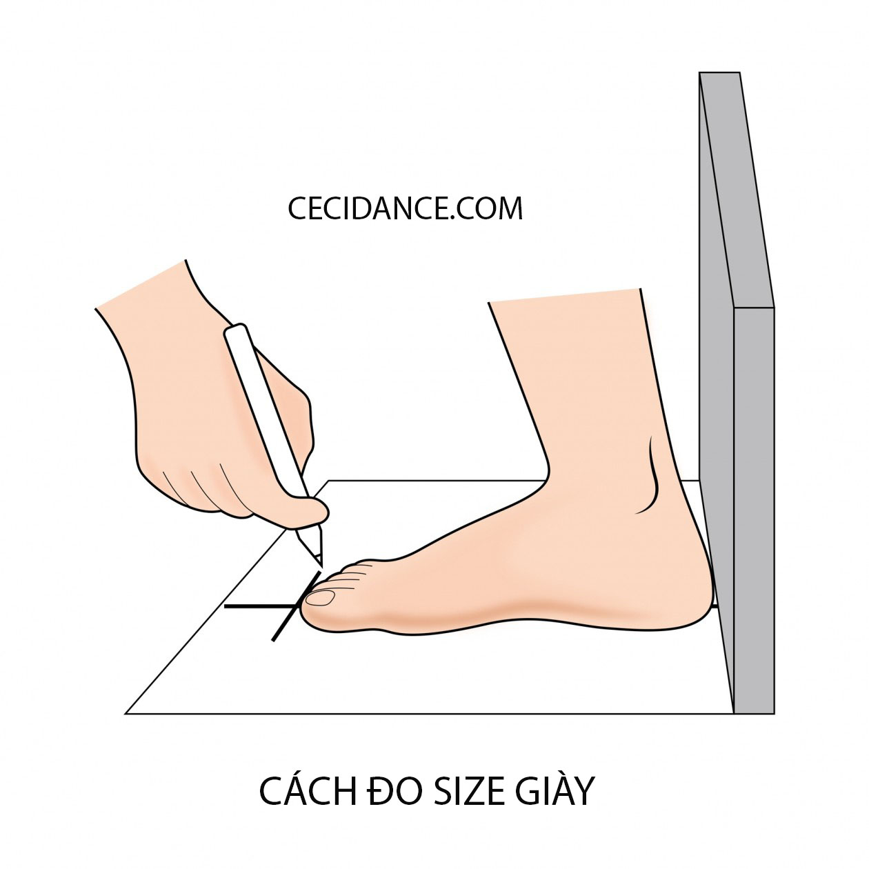 GIÀY LATIN NỮ BDND2338