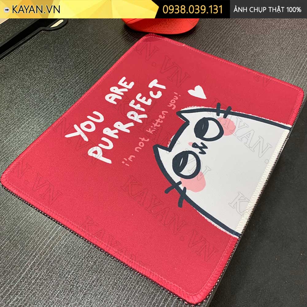 Lót chuột chống nước cỡ nhỏ 26x21cm dày 3mm S-36-26X21 (You are perfe)