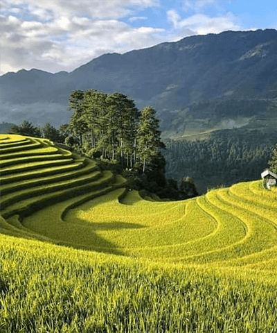 Hà Giang