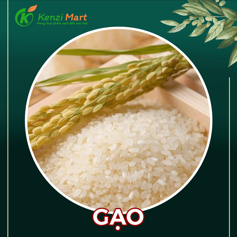 Gạo