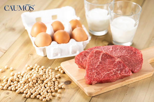 Thực phẩm giàu protein