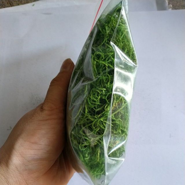 Rêu cỏ sợi, bột rêu  giả làm mô hình , trang trí bon sai, tiểu cảnh