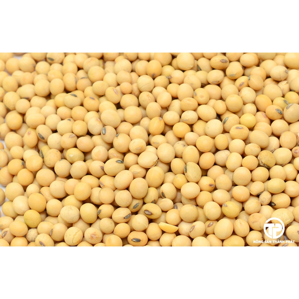 100-500g HẠT ĐẬU NÀNH THUẦN CHỦNG HỮU CƠ TỰ NHIÊN ORGANIC không biến đổi gen NON GMO canh tác thuận tự nhiên làm