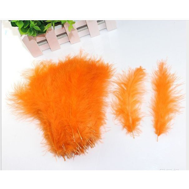 10 lông vũ mềm mịn dài 12-16cm