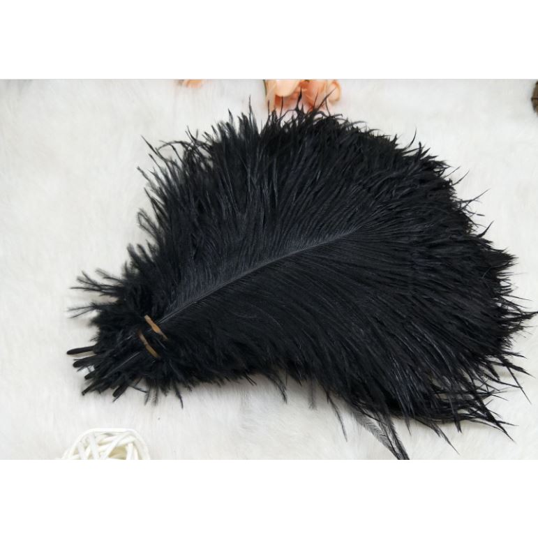 Lông vũ tự nhiên ( đạo cụ chụp ảnh)15-20cm, lông đà điểu tự nhiên trang trí
