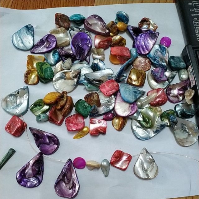 50gam vỏ sò các kiểu -VSM005