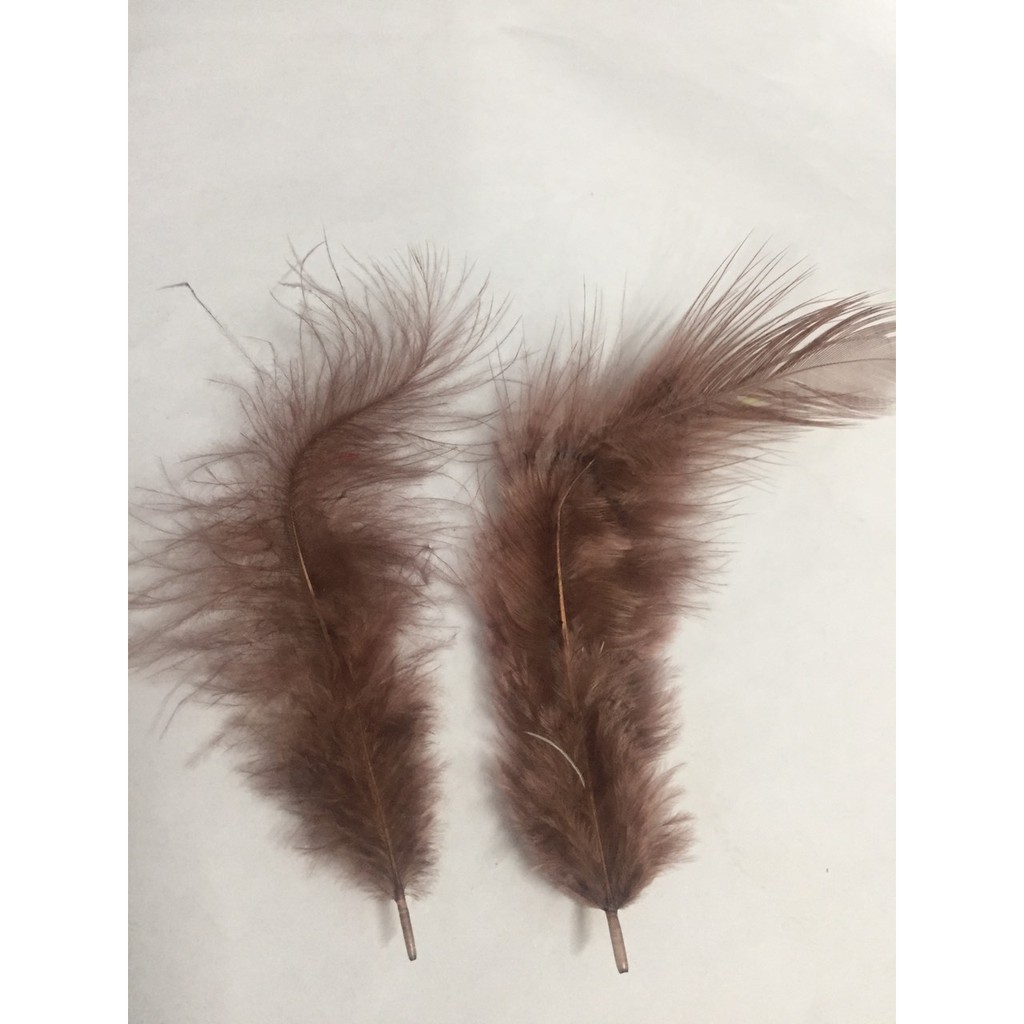 Lông vũ gói 7gam đủ màu dài 4-10CM (khoảng 80-90 cái)