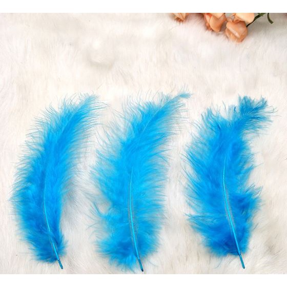 10 lông vũ mềm mịn dài 12-16cm