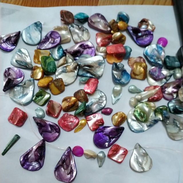 50gam vỏ sò các kiểu -VSM005