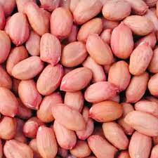 100-500g đậu phộng sống