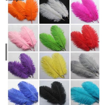 Lông vũ tự nhiên ( đạo cụ chụp ảnh)15-20cm, lông đà điểu tự nhiên trang trí