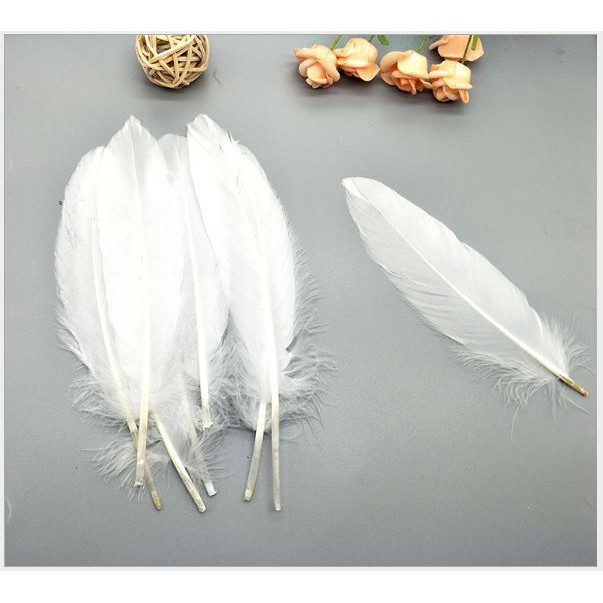 lông vũ cứng 15-20cm nhiều màu